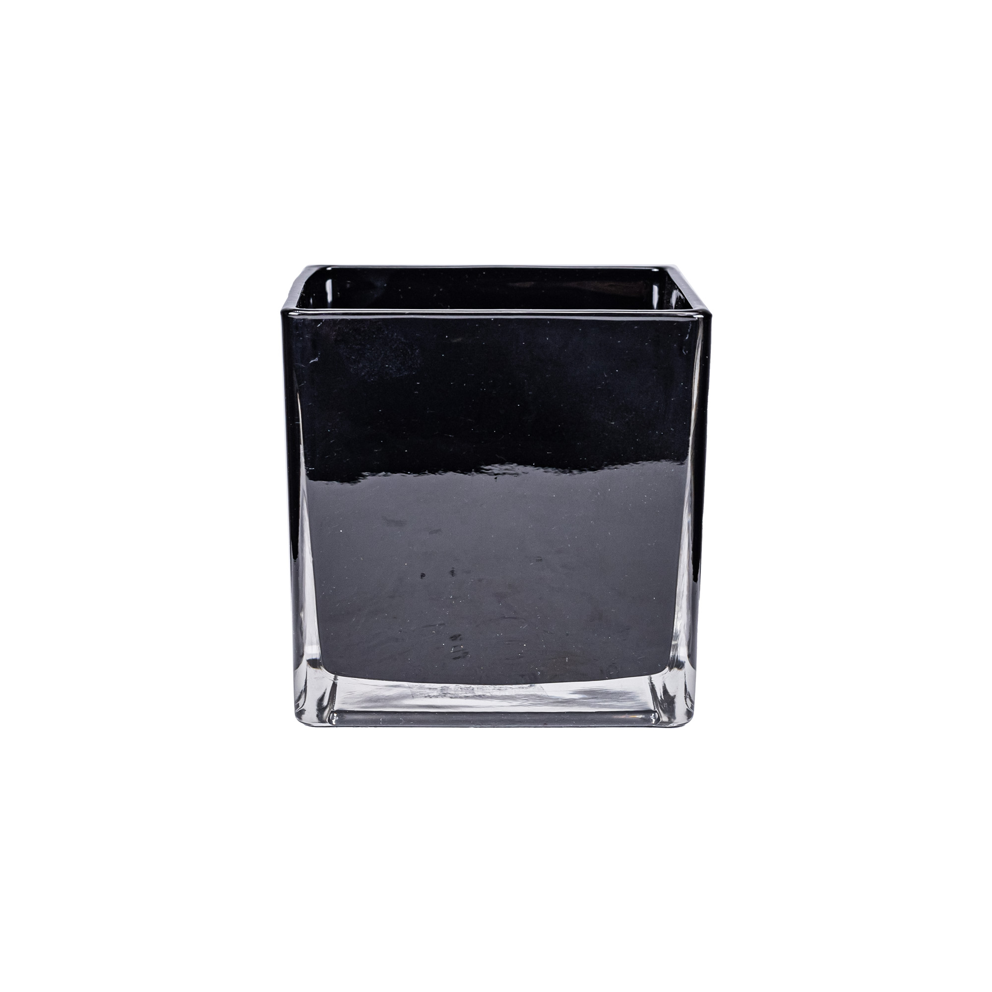 Роза плетистая Перфуми Силуэтта